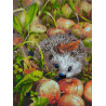  Яблочный ёжик Раскраска картина по номерам на картоне Белоснежка 3140-CS