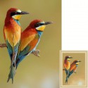 Яркие птички Алмазная вышивка (мозаика) Гранни