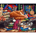 Библиотека кошек Раскраска картина по номерам на холсте