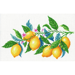  Лимонная гармония Канва с рисунком для вышивки МП Студия СК-098
