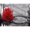  Красное дерево в парке Раскраска картина по номерам с цветной схемой на холсте Molly KK0673