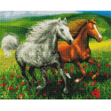 Лошади в маковом поле Алмазная мозаика вышивка на подрамнике