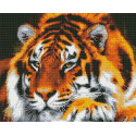 Могучий тигр Алмазная мозаика вышивка на подрамнике