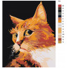  Рыжий кот Раскраска картина по номерам на холсте A78