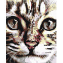 Портрет кота Раскраска картина по номерам на холсте