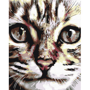  Портрет кота Раскраска картина по номерам на холсте A67