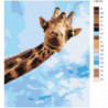 Веселый жираф 80х100 Раскраска картина по номерам на холсте
