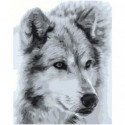 Волк черно-белый Раскраска картина по номерам на холсте