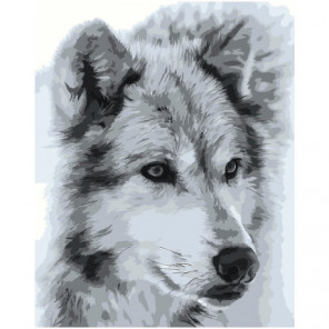 Волк черно-белый 80х100 Раскраска картина по номерам на холсте