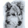 Волк черно-белый 100х125 Раскраска картина по номерам на холсте