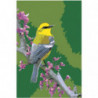 Желтая птичка на ветке Раскраска картина по номерам на холсте