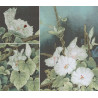  Лунные цветы Набор для вышивания XIU Crafts 2031102