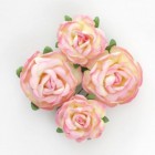 Розово-желтые Цветы чайной розы Scrapberry's