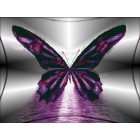 Бабочка Алмазная частичная вышивка (мозаика) Color Kit