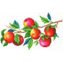  Урожай яблок Канва с рисунком для вышивки МП Студия СК-106