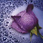 Сиреневая роза Алмазная частичная вышивка (мозаика) Color Kit