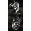  Волк внутри Алмазная вышивка мозаика АЖ-1870