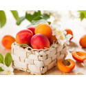  Вкус лета Алмазная вышивка мозаика Алмазное Хобби AH5487