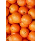 Апельсины Алмазная вышивка (мозаика) Гранни