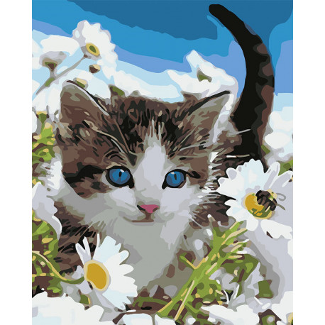  Котёнок в ромашках Раскраска картина по номерам на холсте U8067