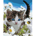 Котёнок в ромашках Раскраска картина по номерам на холсте