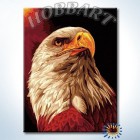 Гордый орел Раскраска по номерам акриловыми красками на холсте Hobbart