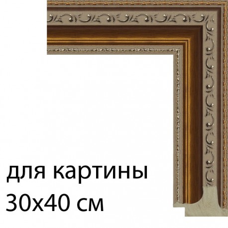 Для картины 30х40 см Охра с декоративными завитками Рамка для картины на холсте N168