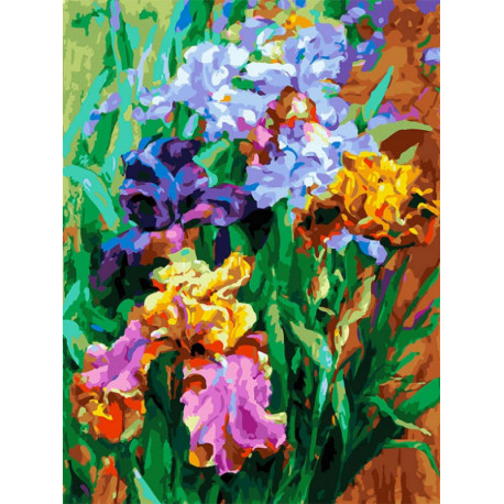  Ирисы садовые Раскраска картина по номерам на холсте Белоснежка 397-AS