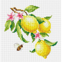 Ветка лимона Набор для вышивания Многоцветница