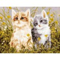 Два котенка Раскраска по номерам на холсте Menglei