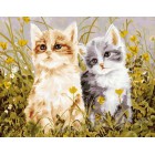 Два котенка Раскраска по номерам акриловыми красками на холсте Menglei