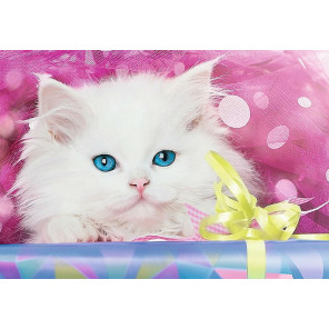  Котик в подарок Раскраска картина по номерам на холсте GX40312