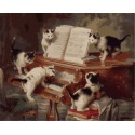 Концерт котят Раскраска (картина) по номерам на холсте Menglei