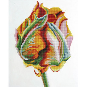 rozhdenie almaznaya vyshivka mozaika color kit колор картины по номерам