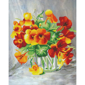 oranzhevoe chudo almaznaya vyshivka mozaika color kit колор картины по номерам