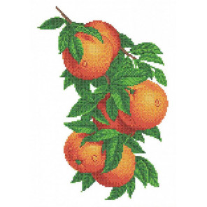  Ветка с апельсинами Габардин с рисунком для вышивки бисером Каролинка ТКБЦ 3057