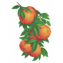 Ветка с апельсинами Габардин с рисунком для вышивки бисером Каролинка