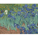 Ирисы Ван Гог Раскраска картина по номерам на холсте Color Kit
