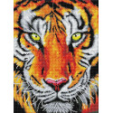 Тигр Алмазная вышивка мозаика Color kit