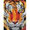  Тигр Алмазная вышивка мозаика Color kit DKD1006
