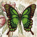 Бабочка 8 Ткань с рисунком для вышивки бисером Божья коровка