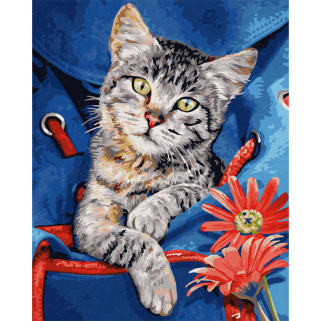  Кот в сумке Раскраска картина по номерам Schipper (Германия) 9240842