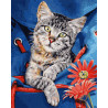  Кот в сумке Раскраска картина по номерам Schipper (Германия) 9240842