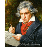  Людвиг Ван Бетховен Раскраска картина по номерам Schipper (Германия) 9130834