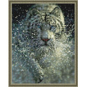 Белый тигр Алмазная вышивка мозаика с нанесенной рамкой Molly