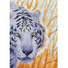  Снежный тигр Алмазная вышивка мозаика Brilliart МС-092