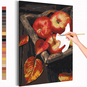  Сочные яблоки Раскраска картина по номерам на холсте AAAA-RS341