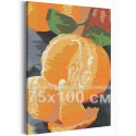  Яркий мандарин / Еда / Натюрморт 75х100 см Раскраска картина по номерам на холсте AAAA-RS150-75x100