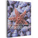 Ракушки / Море / Морская тема 60х80 см Раскраска картина по номерам на холсте