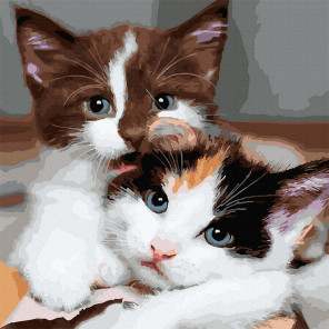 Пример готовой работы Пушистые котята Картина по номерам Molly KH1087